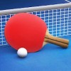 Table Tennis Touch
