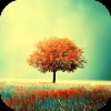 Awesome-Land Live wallpaper HD : Grow more trees