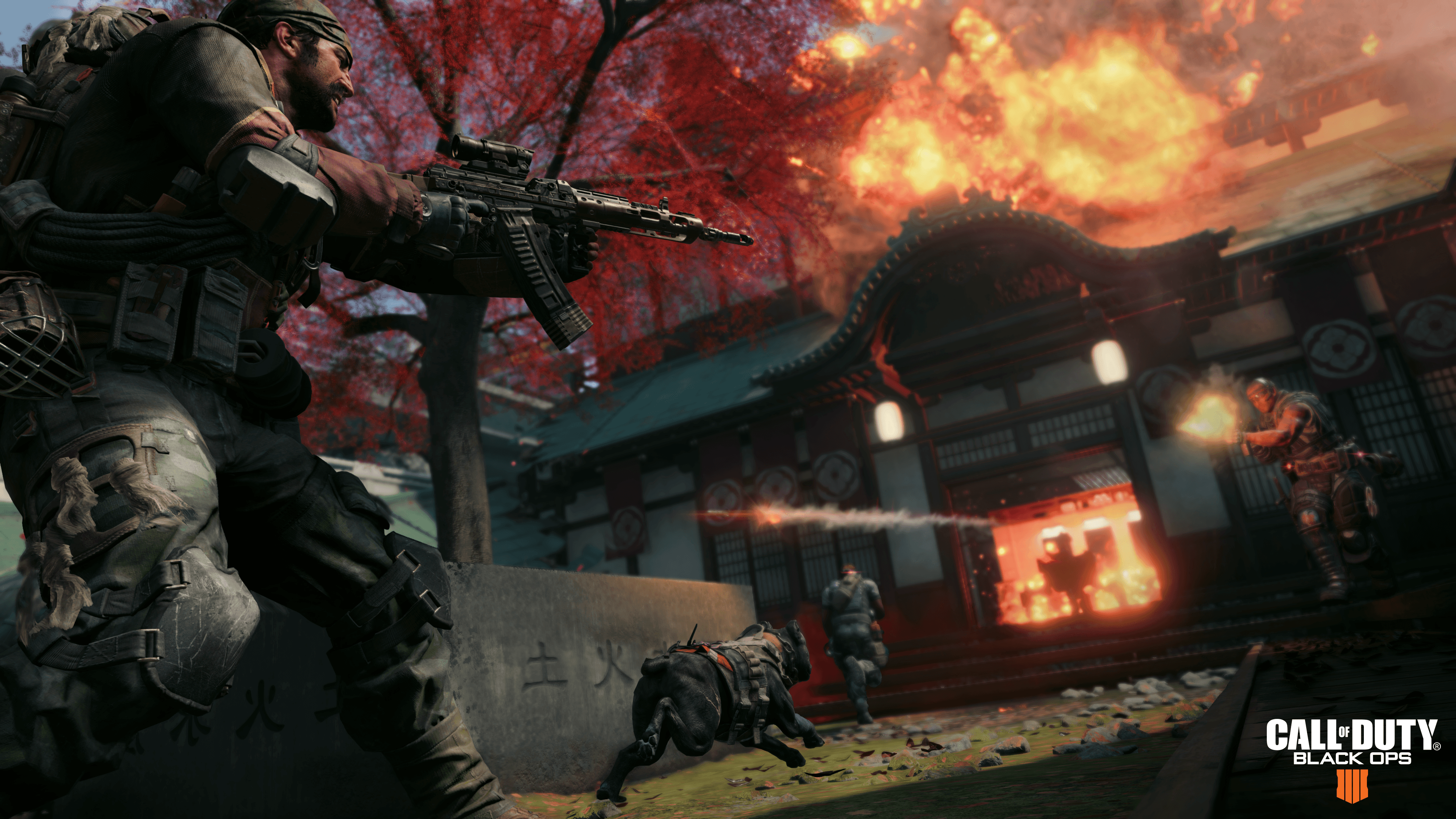 Black ops 4 image