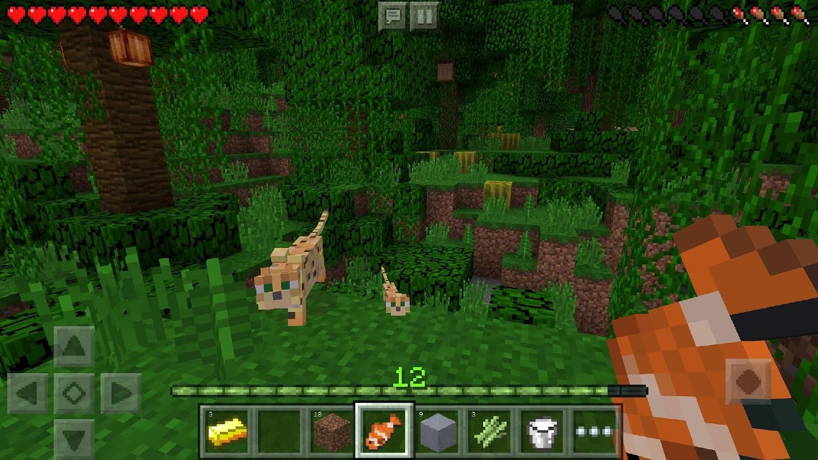 Изображение к игре Minecraft Pocket Edition