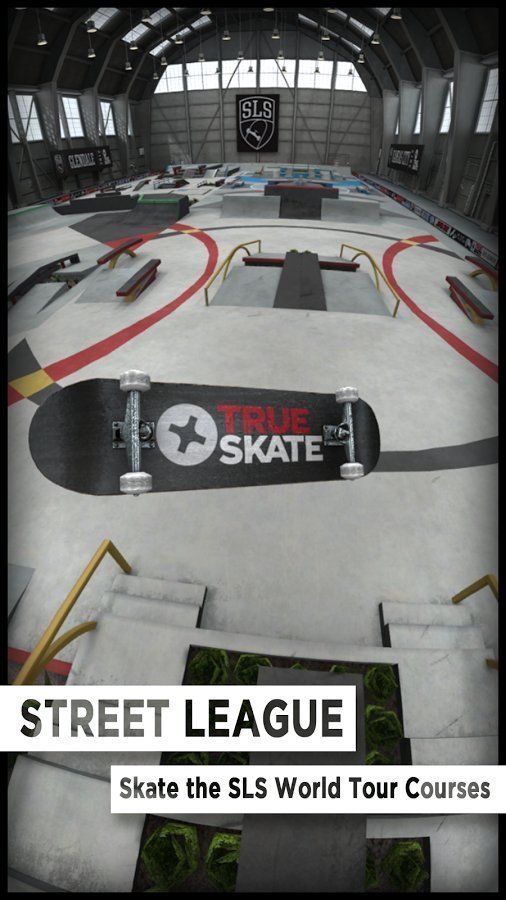 Изображение к игре True Skate