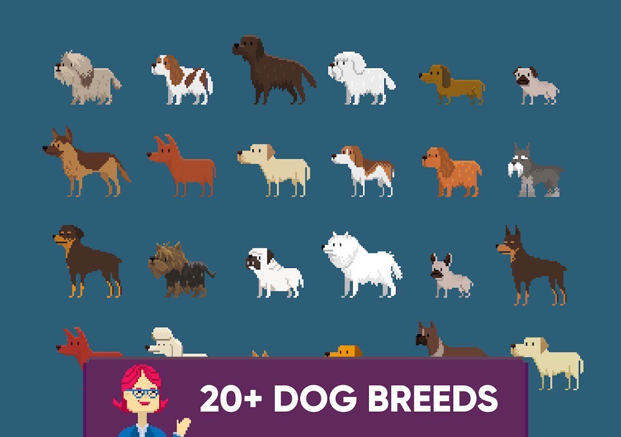 Изображение к игре Dog Shelter Rescue