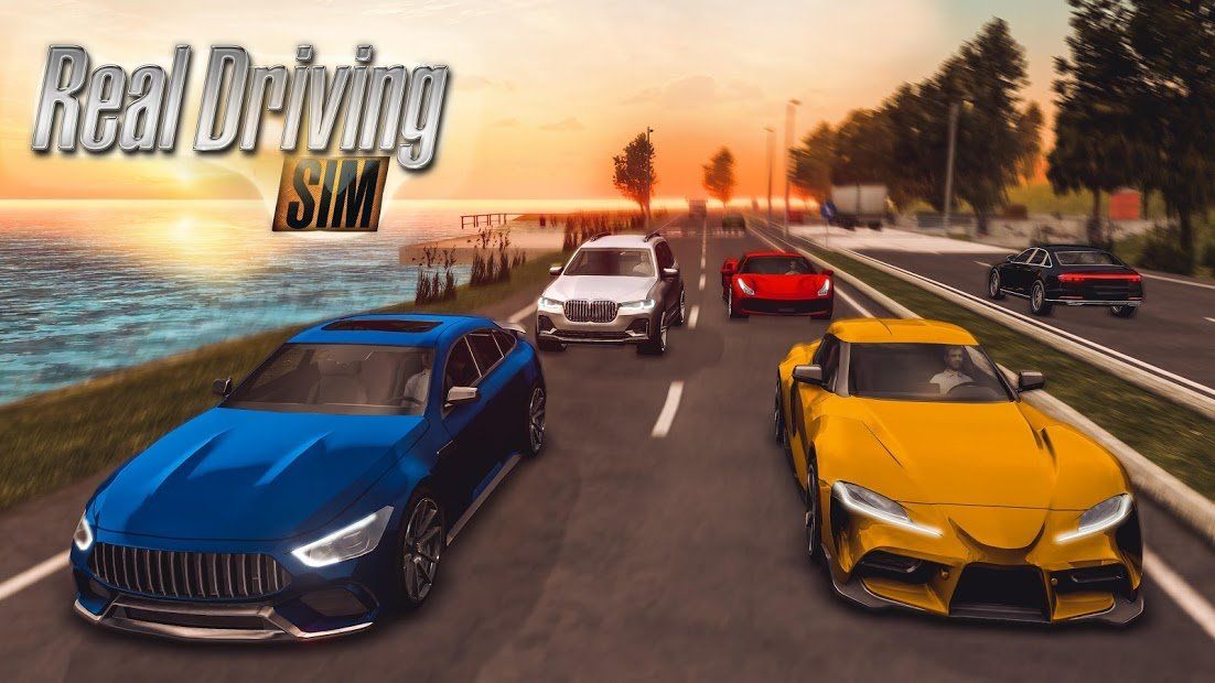Изображение к игре Real Driving Sim