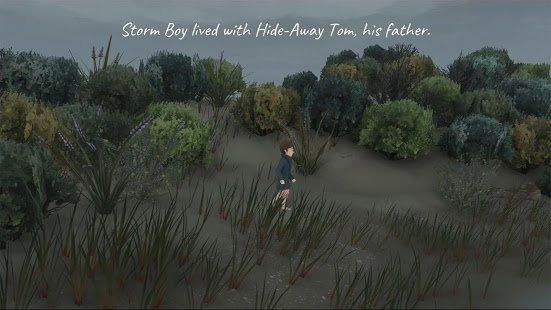 Изображение к игре Storm Boy