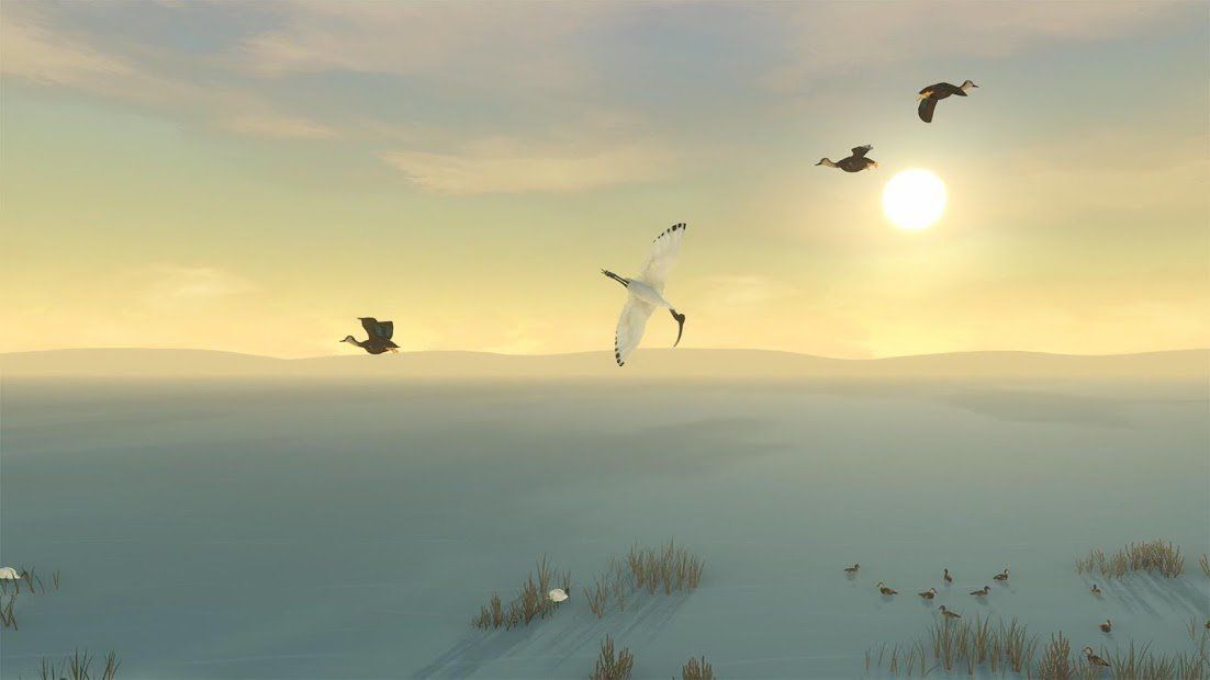Изображение к игре Storm Boy