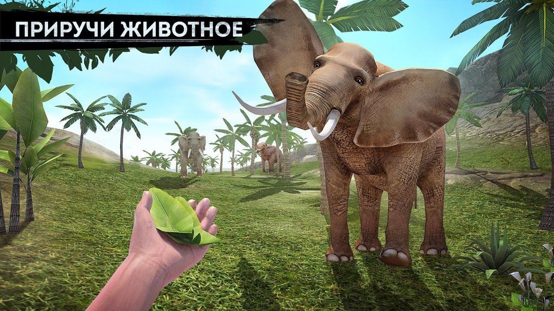 Изображение к игре Survivor Adventure: Выживание на острове