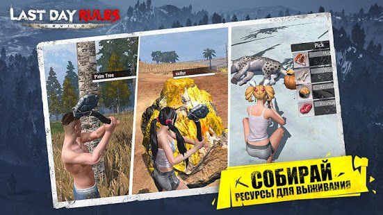 Изображение к игре Last Day Rules: Survival