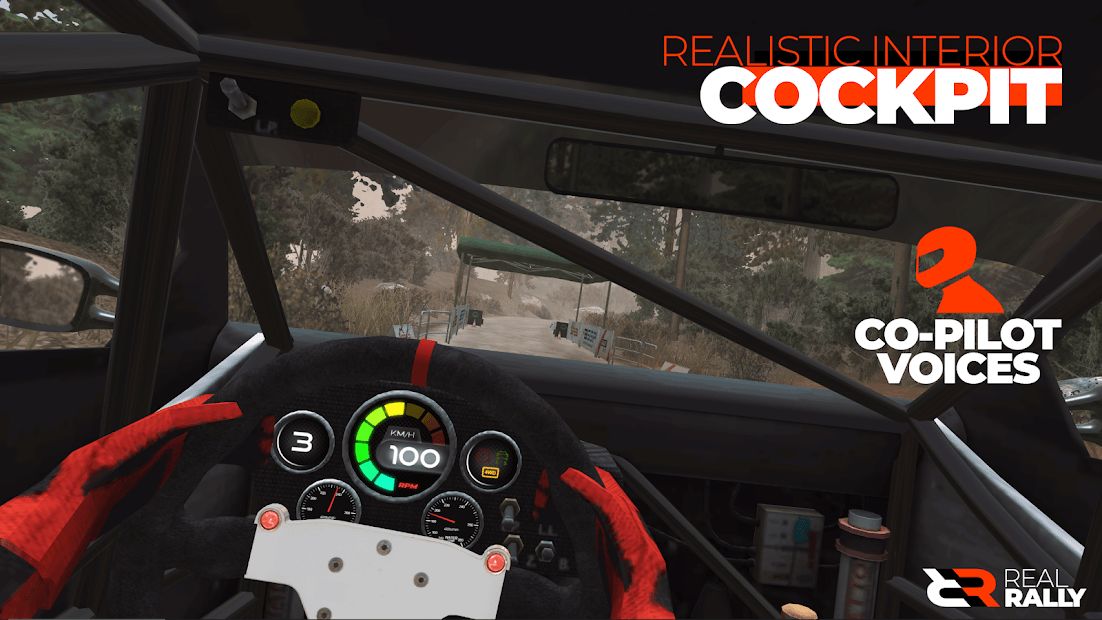 Изображение к игре Real Rally