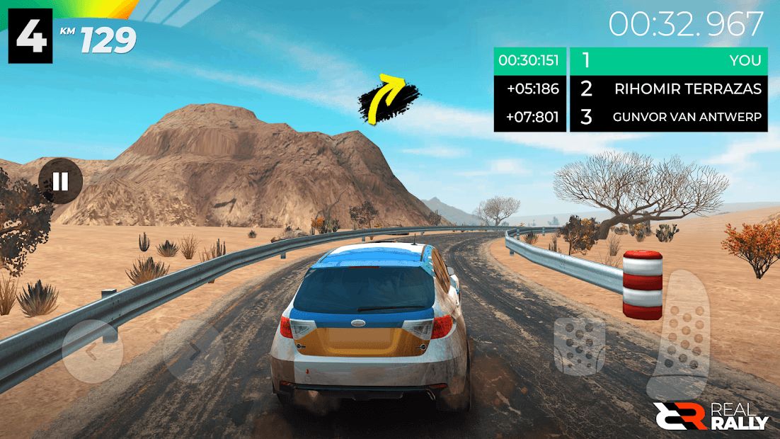 Изображение к игре Real Rally