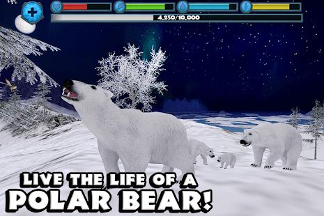 Изображение к игре Polar Bear Simulator