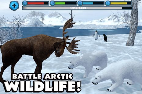 Изображение к игре Polar Bear Simulator
