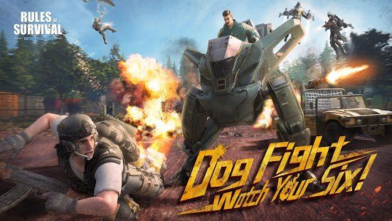 Изображение к игре RULES OF SURVIVAL