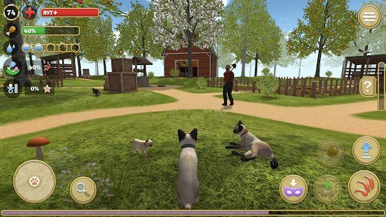 Изображение к игре Симулятор Кота и Кошки