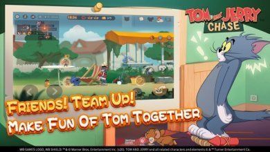Изображение к игре Tom and Jerry: Chase
