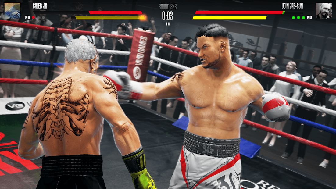 Изображение к игре Real Boxing 2