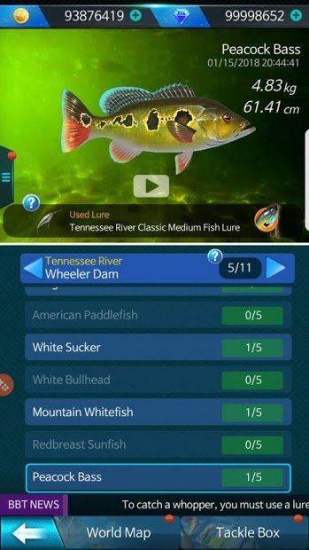 Изображение к игре Fishing Hook : Bass Tournament