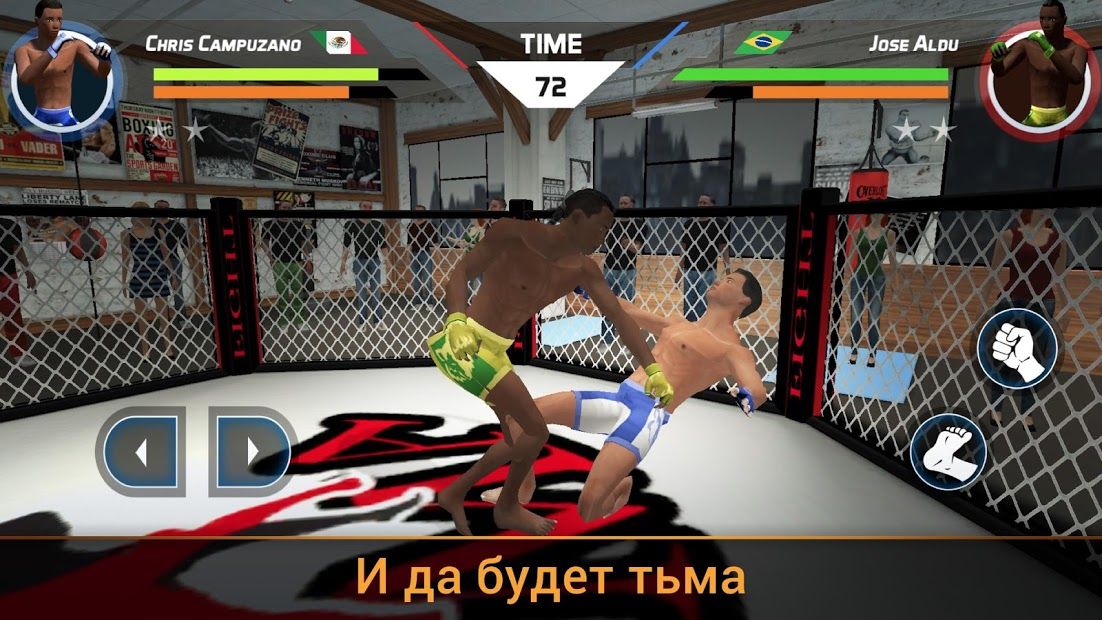 Изображение к игре Cмешанные единоборства ММА 3D