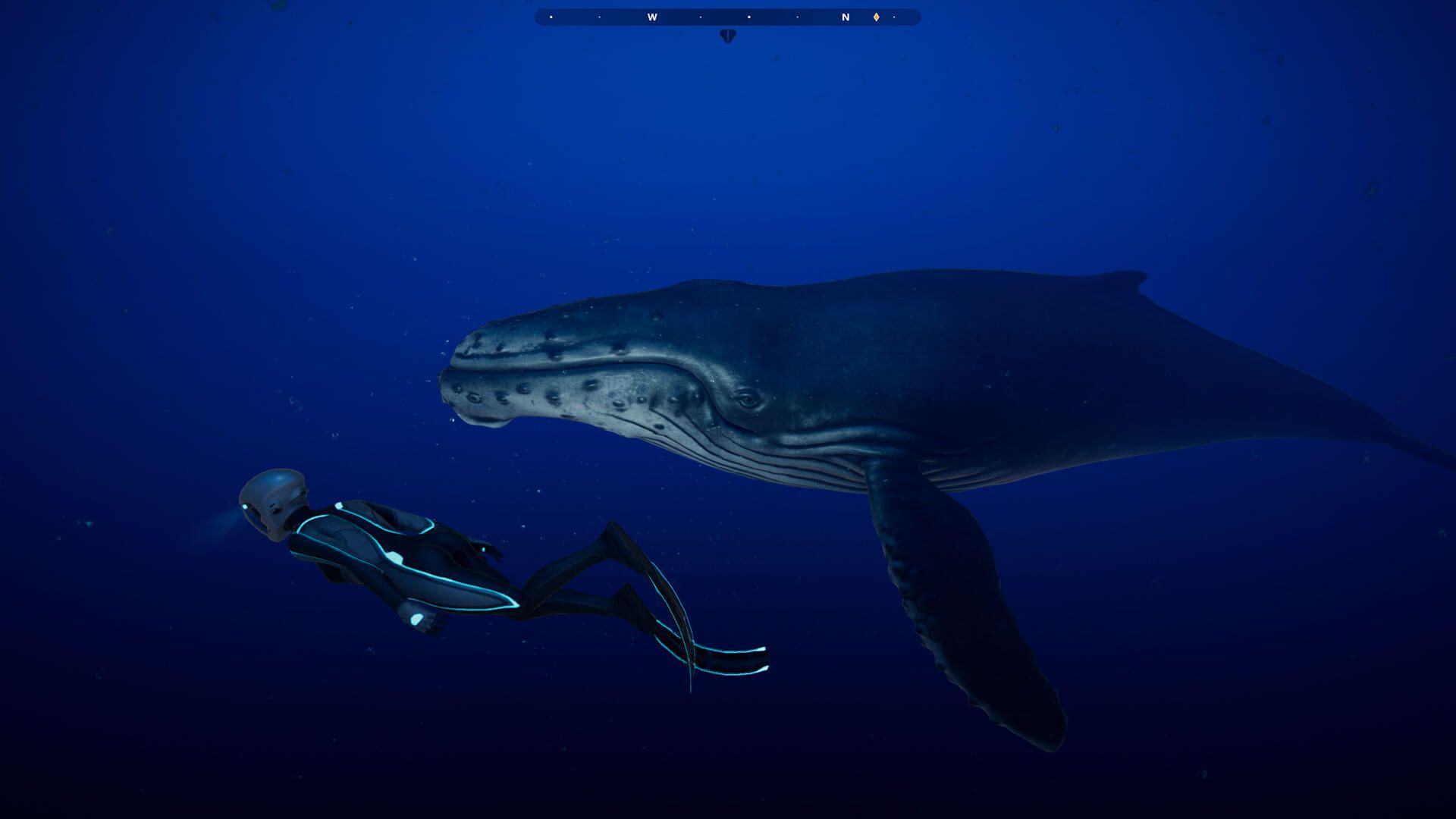 Изображение к игре Beyond Blue