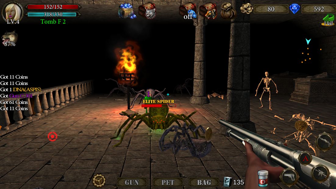 Изображение к игре Dungeon Shooter : The Forgotten Temple