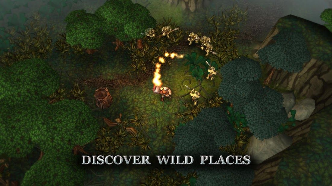 Изображение к игре Runic Rampage - Hack and Slash RPG