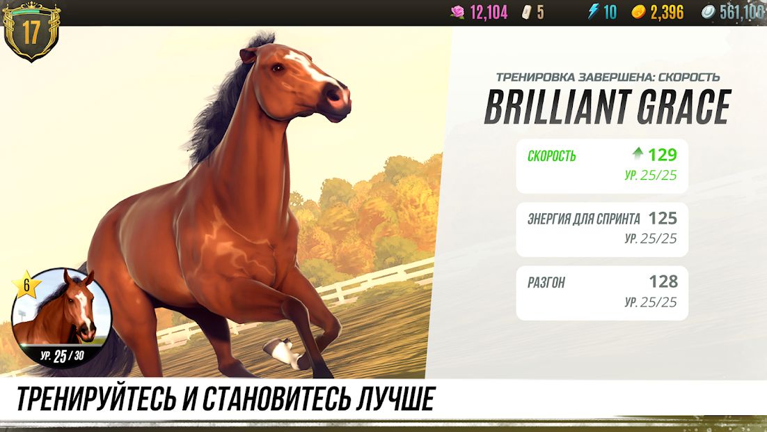 Изображение к игре Rival Stars Horse Racing