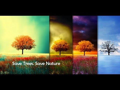Изображение к игре Awesome-Land Live wallpaper HD : Grow more trees