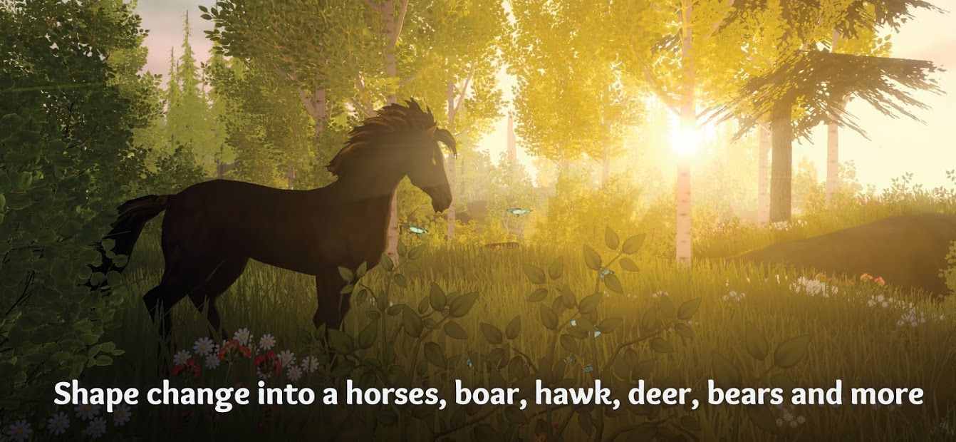 Изображение к игре Wilderless